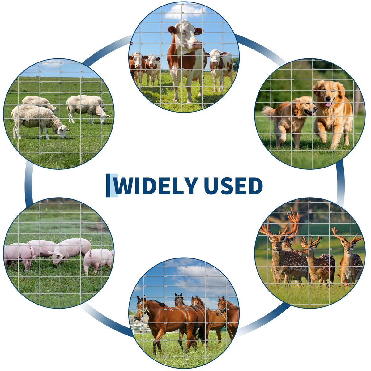 Heavy-Duty Galvanized Welded Wire Cattle Fence Roll, 14-Gauge Rust-Resistant Graduated Livestock Field Fencing for Goat/Deer/Hog/Sheep,