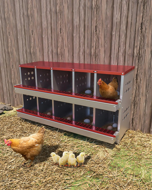 10 Holes Chicken Nesting Boxes,Compartment Galvanized Steel Laying Box for Hens,Metal Roll Away Easy Clean