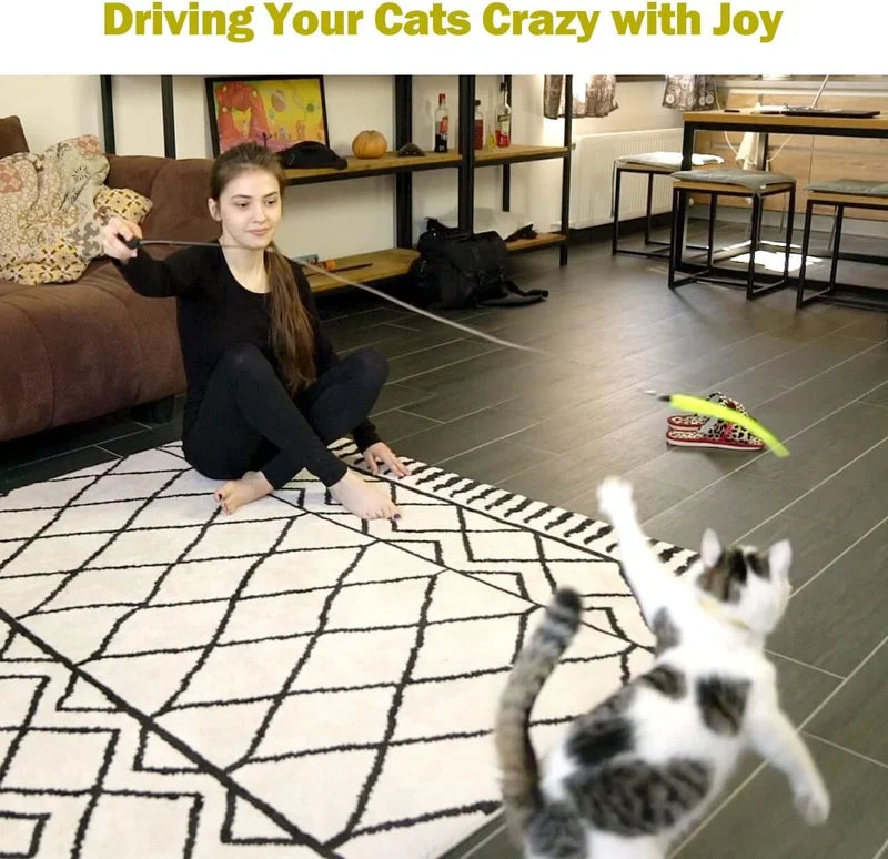 Interactive Cat Toys Retractable Wand Toy and Feather Toy Refills for Indoor Cat