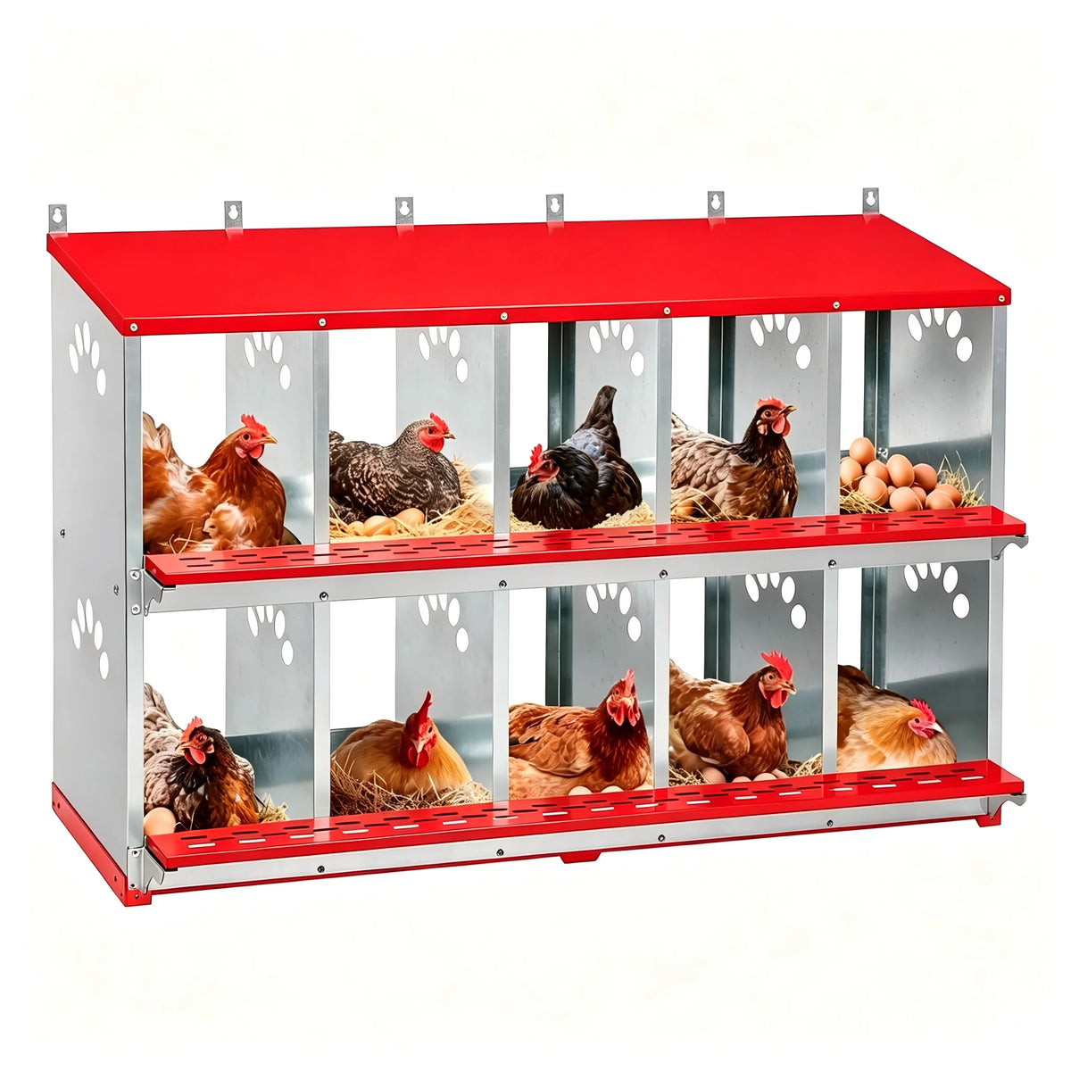 10 Holes Chicken Nesting Boxes,Compartment Galvanized Steel Laying Box for Hens,Metal Roll Away Easy Clean