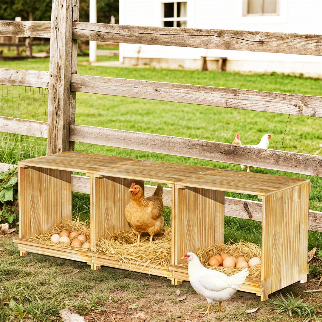 Nesting Boxes for Chickens: 3-Compartment Pine Wood Chicken Nesting Box Poultry Farms for Eggs Laying, Preventing Egg Falls