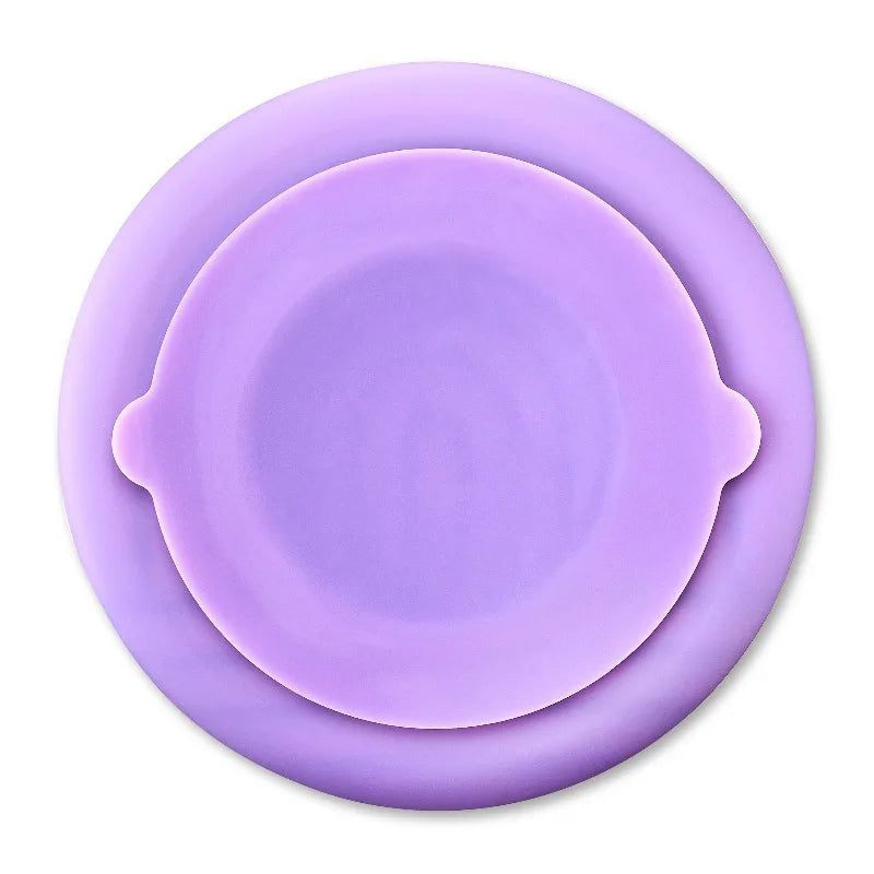 Slow Feeder Bowl for Pets, Purple Rainbow