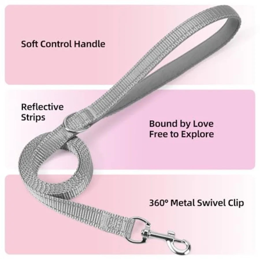 Sparkly Medium Dog Harness and Leash Set, Step in Soft Light Puppy Vest, Breathable Reflective Pet Harness for Walking, Puppy H