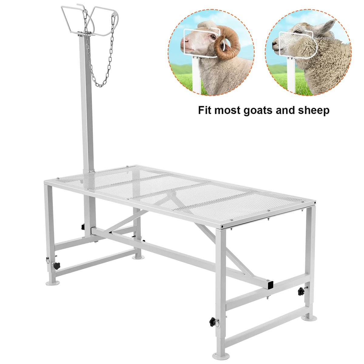 SucceBuy Goat & Sheep Stand 51x23 in Livestock Stand Metal Livestock Milking  Shearing Stand 21" to 33" Adjustable Height  White
