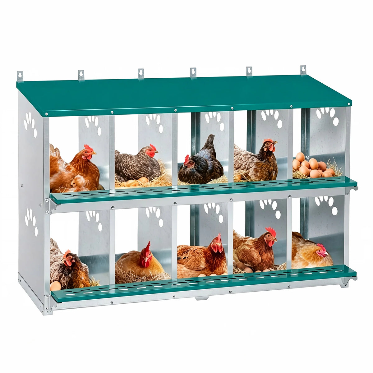 10 Holes Chicken Nesting Boxes,Compartment Galvanized Steel Laying Box for Hens,Metal Roll Away Easy Clean