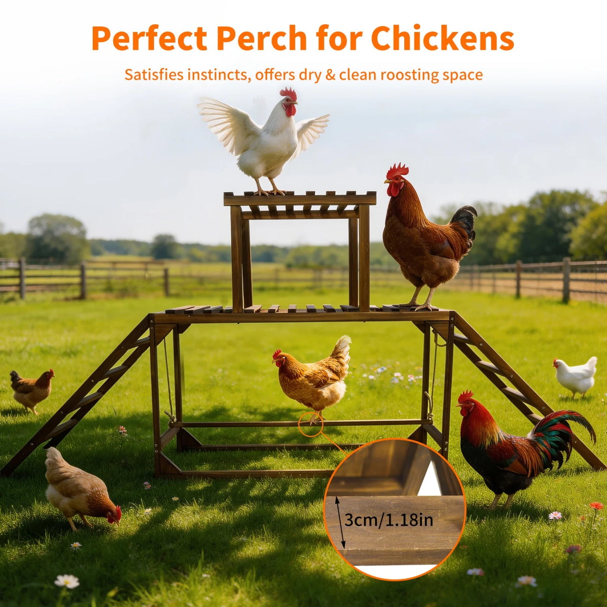 Pine Wood Chicken Perch Swing Chicken Roosting Bars with Swing & Ladder Activity Play Toys Chicken Climbing Accessory for 8-10 Chickens