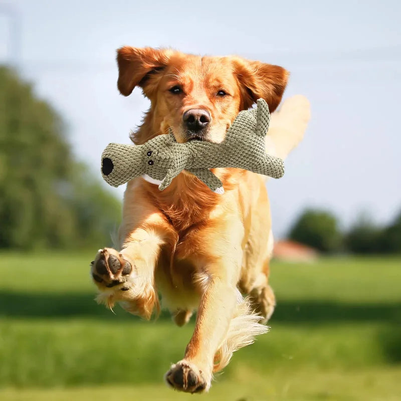 Dog Chew Toys Durable Aggressive Chewers Interactive Squeaky Pet Dog Toy